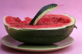 开封一男子“蔬菜版动物世界”火了 水果版“咬秋”新鲜出炉图片