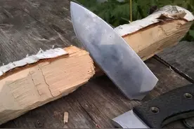 世界上最硬的木材——铁桦木，称之为木王，比普通钢铁还要硬一倍图片