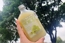 5秒回甘？窜稀神器？油柑到底是个什么神奇玩意啊？图片