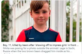 男孩耍帅挑衅棕熊，被撕成碎尸“揉成一颗肉泥球”，惨死动物园图片