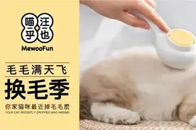 一梳多用SPA级的享受，掉毛季必备神器图片