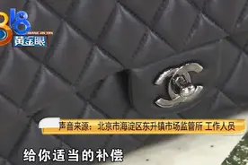 “胖虎”上买二手大牌包，蓝羊皮黑牛皮傻傻分不清图片