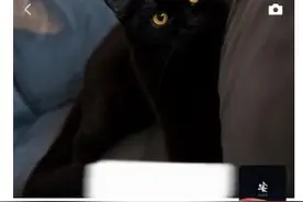 【微信朋友圈新增删除后重新编辑功能，目前仅iOS拥有】图片