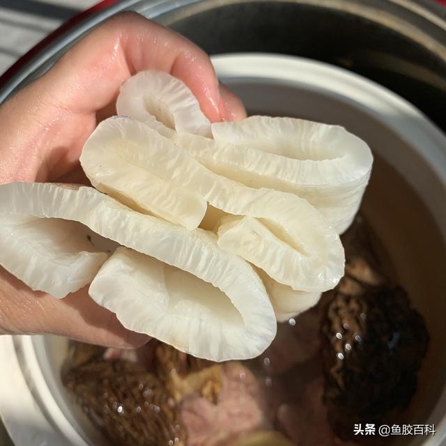 空腹吃乌鸡花胶汤 2026年空腹吃乌鸡花胶汤可以吗