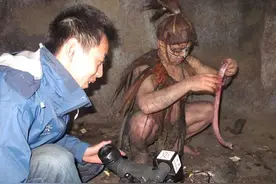 你的生存本能正在杀死你图片