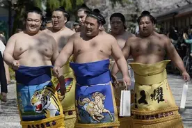 相扑手这么胖，他们怎么上厕所？全靠这个职业来操作图片