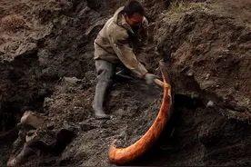 北极“高烧”不断，史前生物遗骸接连出现，冰层下的病菌或将苏醒图片