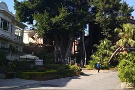 带娃出游之厦门图片