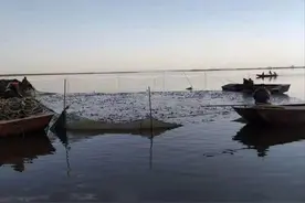 长江禁捕后，武汉渔民兄弟远赴东北“赶湖”图片