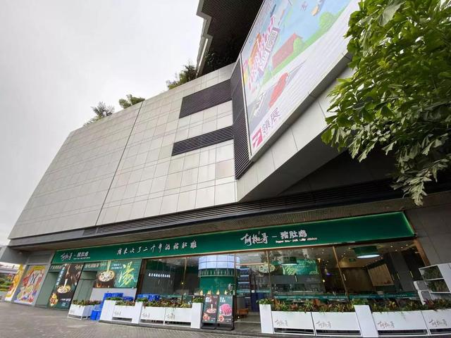 胡椒花胶煲猪肚 2026年胡椒花胶煲猪肚的做法