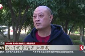 暖心一幕！79岁老人晨练时被疯狗扑咬 热心夫妻见状挺身相救视频封面