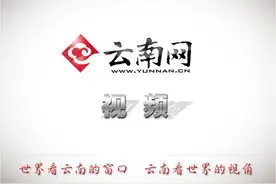 驻华记者云南行丨“生命之花”是什么？不同国家的朋友们这样说图片