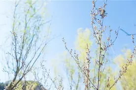 一晃，就老了请多珍惜图片