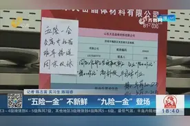 春季招聘会，山大校园上演“抢人大战”，“九险一金”登场视频封面