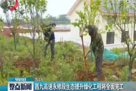 昌九高速永修段生态提升绿化工程将全面完工视频封面