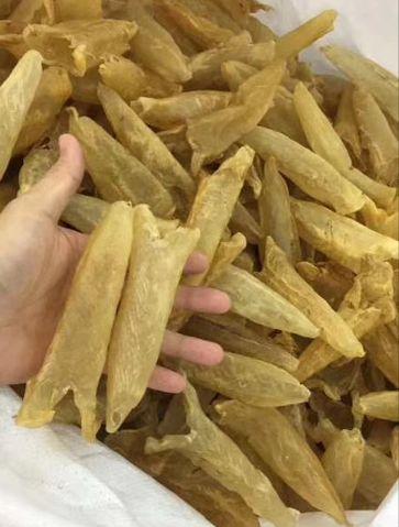 花胶有催奶的功效吗 2026年花胶有催奶的功效吗能吃吗