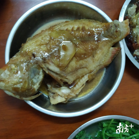 肉蓉花胶汤 肉苁蓉花胶煲汤的做法