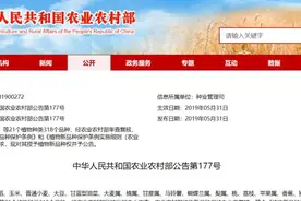 318个品种获得新品种权！水稻20个，玉米58个，小麦127个图片