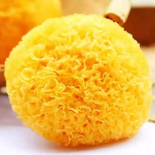 花胶性味 2026年花胶性味归经