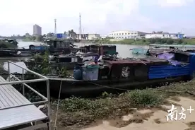 开平市区最后的疍家人上岸了图片