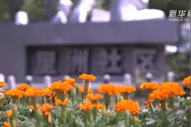 老旧小区破解物业管理难题视频封面