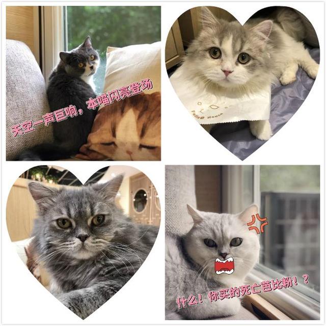 2019，“拔草”这件小事