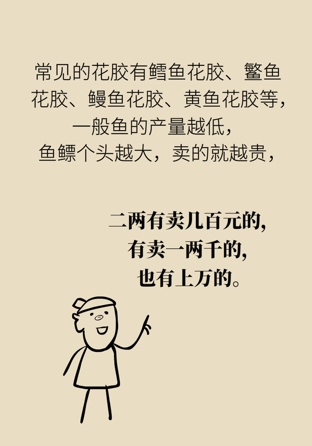 有谁吃过花胶效果怎么样 2026年花胶吃了真的有效果吗 有谁吃过花胶效果怎么样 2026年花胶吃了真的有效果吗
