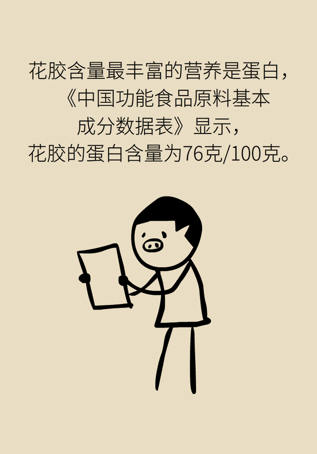 花胶哪里有什么功效 2026年花胶是什么东西哪里有卖的