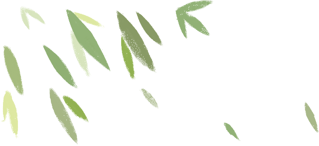 什么鱼胶对胃最好 2025年什么鱼胶对胃最好养胃