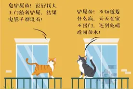 图视绘 |“还好你没放弃”，被疫情困住的留守宠物日记图片