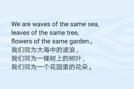 小米给意大利捐口罩时写了啥，让它在欧美社交媒体上火了图片