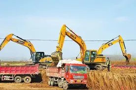 正阳县400亩植物园开建图片