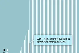 武汉“封城”56天，新增病例首次为0，战疫走势一图尽览图片