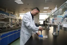 玉米淀粉竟可变身洗手液？带你揭秘淀粉的“洁净”魔法图片