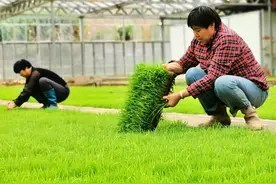 安仁提前做好支农工作助力春耕图片
