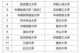 北大支援武大，清华支援华科大！网友：神仙支援图片
