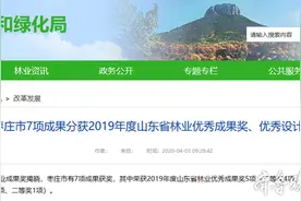山东省林业成果奖、优秀设计揭晓，枣庄7项目榜上有名图片