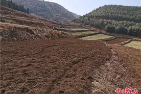 云南遭遇十年来最严重旱情 147万余人饮水困难图片