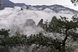 张家界武陵源景区今年对全国医护人员免票 5月底前不限量发放餐宿消费券图片