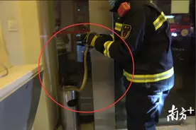 小蛇深夜潜入银行，三水消防巧用编织袋带离现场图片