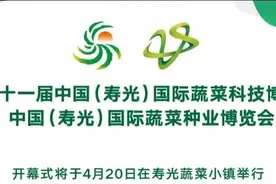 齐鲁政情丨菜博会今日开幕，20年老字号上“云”有了“新玩法”图片