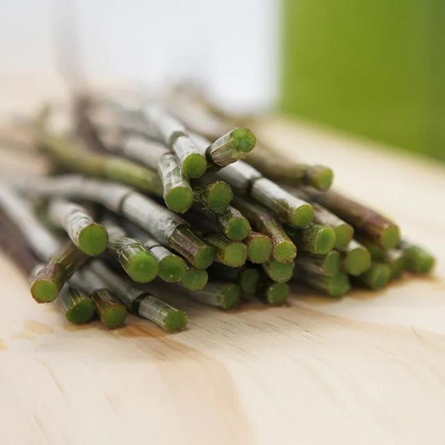 麦冬石斛花胶功效与作用及食用方法 2026年麦冬石斛花胶功效与作用及食