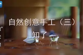 做出“大自然”！超实用亲子手工课（三）图片