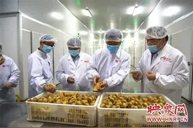 农发行信阳市分行调研组到华英参观调研图片