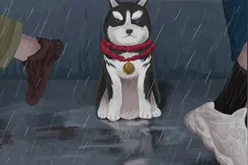 银河视务所｜泪目漫画：狗狗路口等主人四年，结局很意外图片