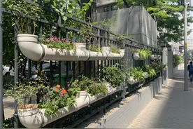 展示古都魅力 新城区完整街道示范街区打造西安国际化新形象“金色名片”图片