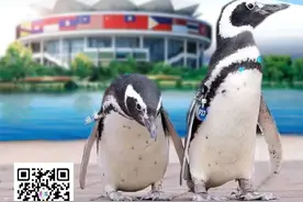 融晟极地海洋世界五一开园啦！多重优惠等你前来图片
