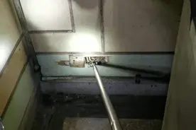 上海这个消防站的消防员一年要抓10条蛇，曾在衣柜找出蛇图片