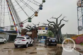 探访鄂州“驯化狼”出逃地：草根动物园手续全管理松，事发时仅有一工人看守图片