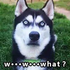 股票带dr代表什么（认不全这些字母）